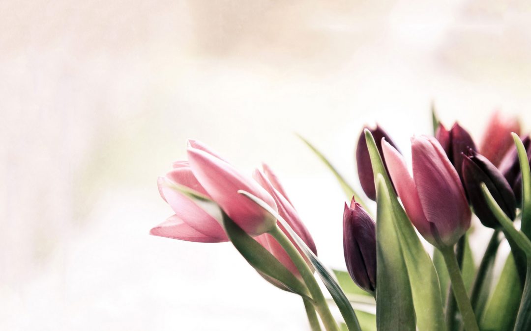 Blumenladen